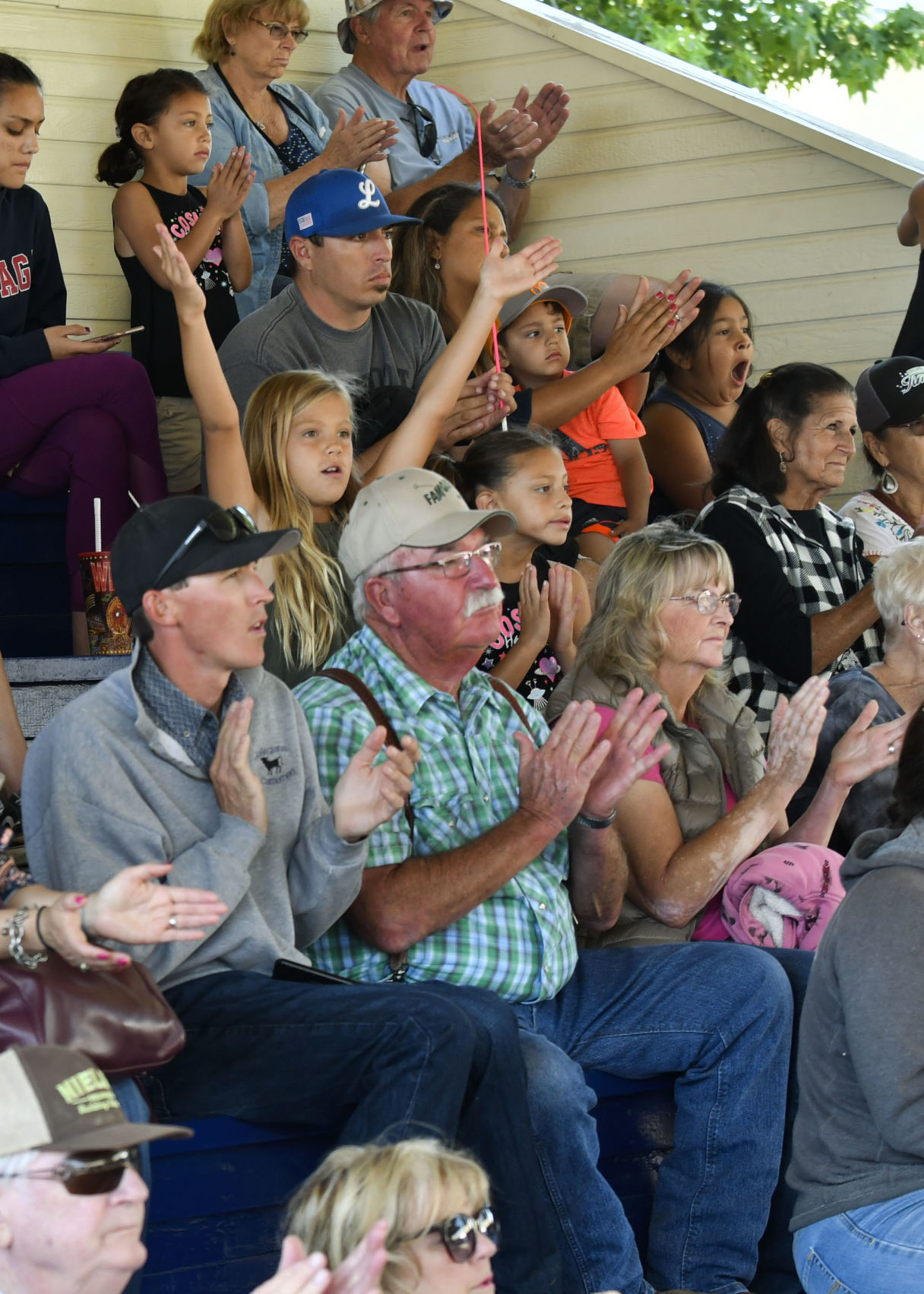 071018 County Fair steer judging 04.jpg